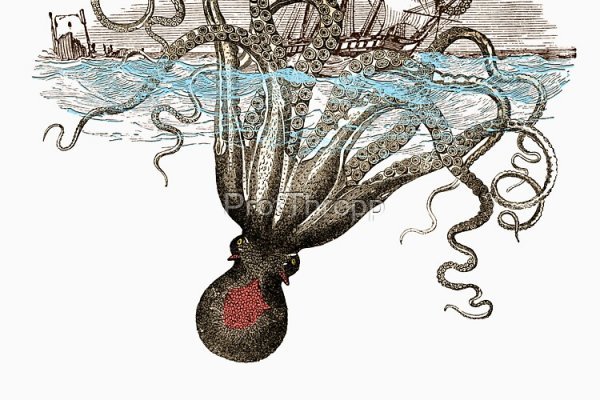 Kraken ссылка kraken torion