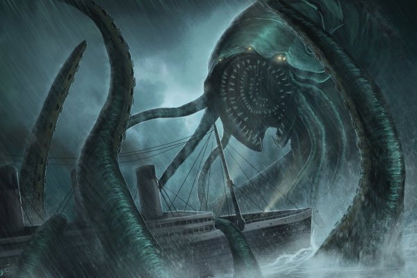 Kraken whitenet store
