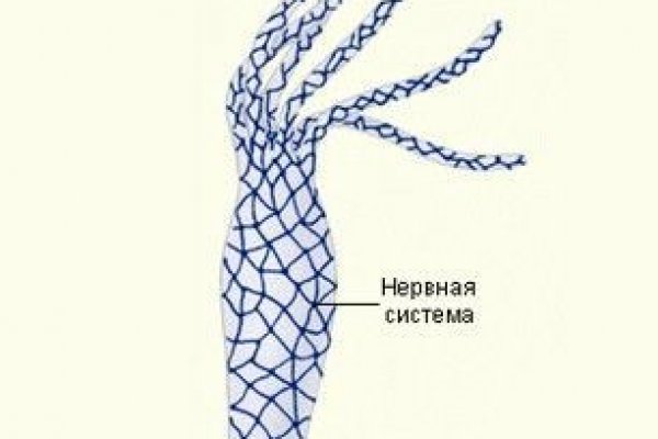Как восстановить аккаунт на кракене