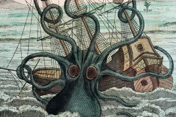 Kraken whitenet marketplace