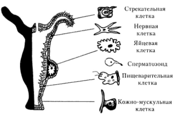 Кракен ссылка список
