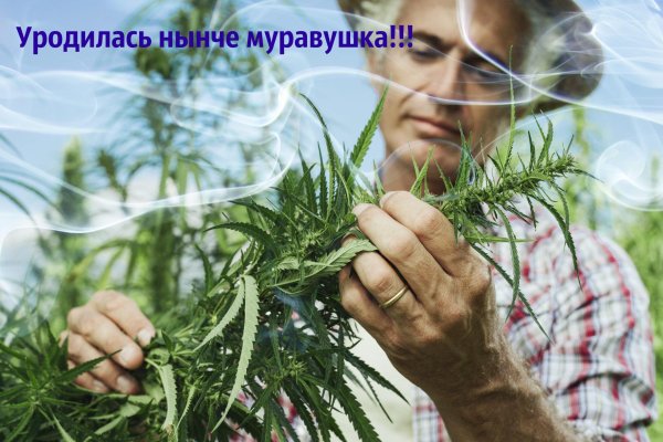 Где взять ссылку на кракен
