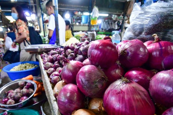Kraken istand onion