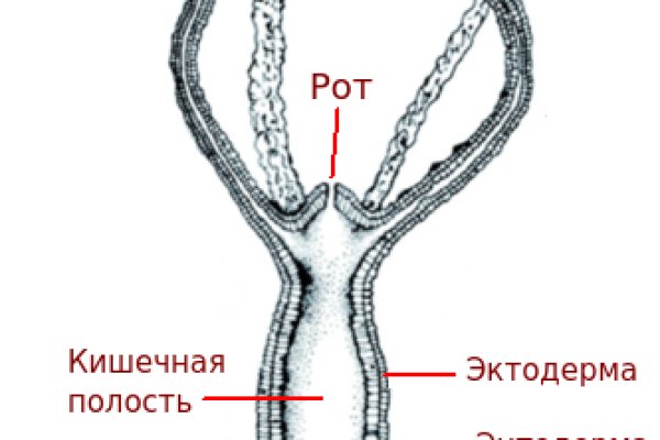 Рабочая ссылка кракен в тор