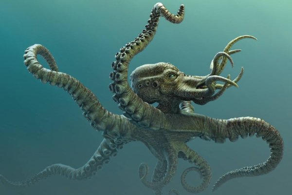 Kraken супернет рынок ссылка